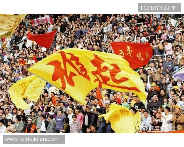 南京足球队的节奏革新探索与发展之路解析